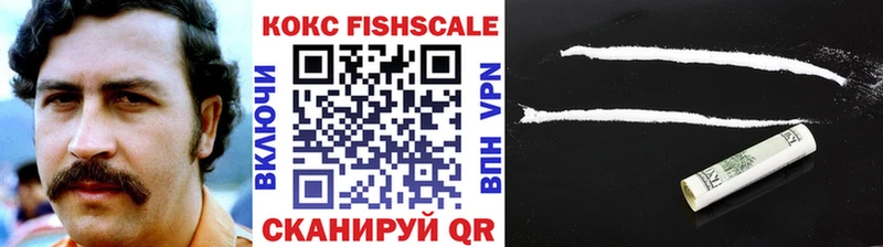 где купить наркоту  Ардон  Cocaine Fish Scale 