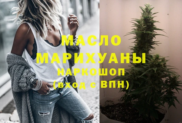 крисы Алексин