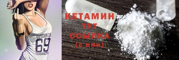крисы Алексин
