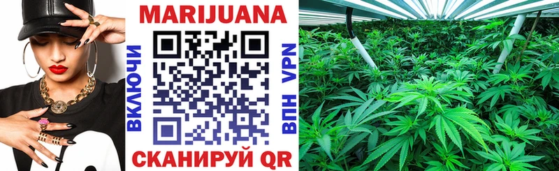 Конопля индика  Ардон 